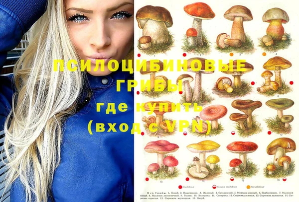 гашик Саяногорск