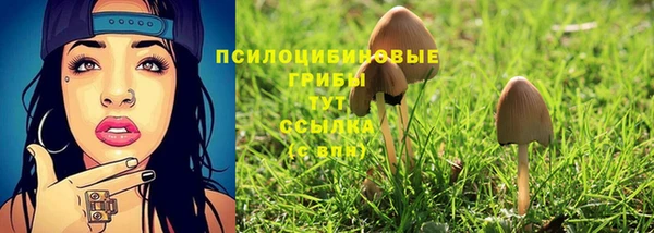 мяу мяу мука Балахна