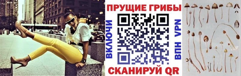 Галлюциногенные грибы мицелий  Печоры 