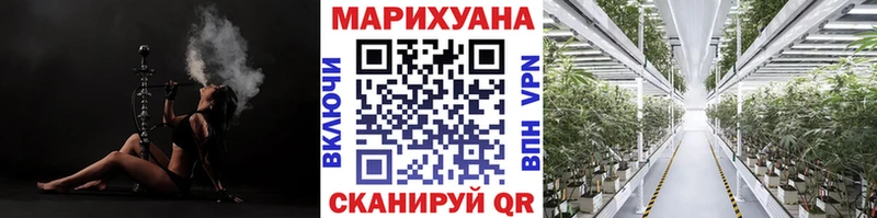 Бошки марихуана тримм  купить закладку  Печоры 